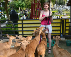 Nong Nooch Garden excursion 7 Countries in Thailand Pattaya photo 777