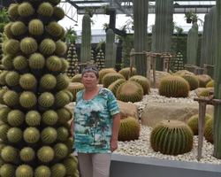 Nong Nooch Garden excursion 7 Countries in Thailand Pattaya photo 1569