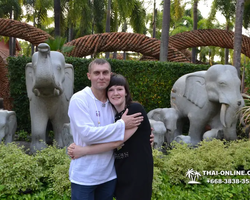 Nong Nooch Garden excursion in Thailand Pattaya - photo 481