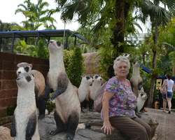 Nong Nooch Garden excursion 7 Countries in Thailand Pattaya photo 887