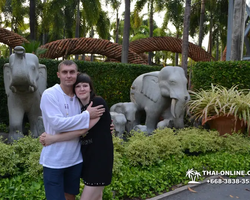 Nong Nooch Garden excursion in Thailand Pattaya - photo 475