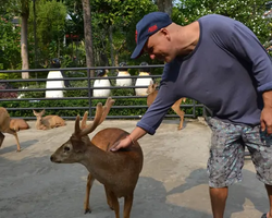 Nong Nooch Garden excursion 7 Countries in Thailand Pattaya photo 579