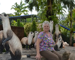 Nong Nooch Garden excursion 7 Countries in Thailand Pattaya photo 690