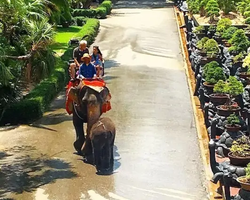 Nong Nooch Garden excursion in Thailand Pattaya - photo 196