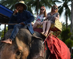 Nong Nooch Garden excursion 7 Countries in Thailand Pattaya photo 654