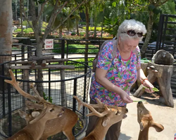 Nong Nooch Garden excursion 7 Countries in Thailand Pattaya photo 624