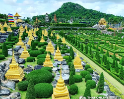 Nong Nooch Garden excursion in Thailand Pattaya - photo 9