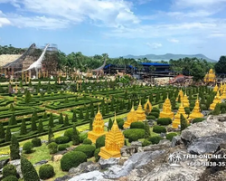 Nong Nooch Garden excursion in Thailand Pattaya - photo 157