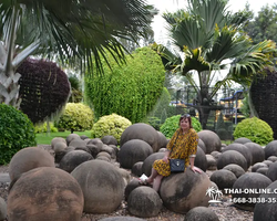 Nong Nooch Garden excursion in Thailand Pattaya - photo 166