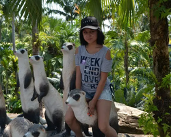 Nong Nooch Garden excursion in Thailand Pattaya - photo 135