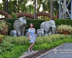 Nong Nooch Garden excursion in Thailand Pattaya - photo 226