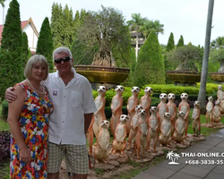 Nong Nooch Garden excursion 7 Countries in Thailand Pattaya photo 1015