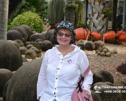 Nong Nooch Garden excursion 7 Countries in Thailand Pattaya photo 2064