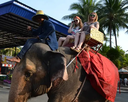 Nong Nooch Garden excursion 7 Countries in Thailand Pattaya photo 1791