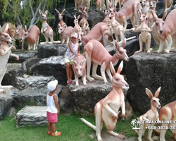 Nong Nooch Garden excursion 7 Countries in Thailand Pattaya photo 907