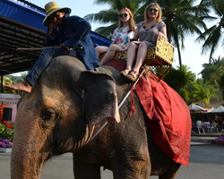 Nong Nooch Garden excursion 7 Countries in Thailand Pattaya photo 1481