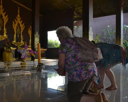 Nong Nooch Garden excursion 7 Countries in Thailand Pattaya photo 2488