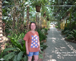 Nong Nooch Garden excursion in Thailand Pattaya - photo 173