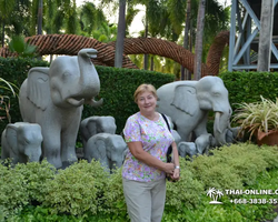 Nong Nooch Garden excursion 7 Countries in Thailand Pattaya photo 505