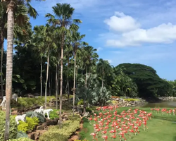 Nong Nooch Garden excursion 7 Countries in Thailand Pattaya photo 926