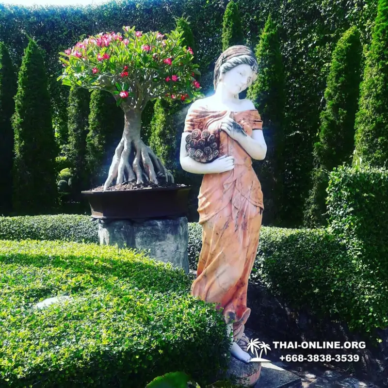 Nong Nooch Garden excursion in Thailand Pattaya - photo 11