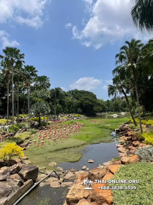 Nong Nooch Garden excursion in Thailand Pattaya - photo 2733