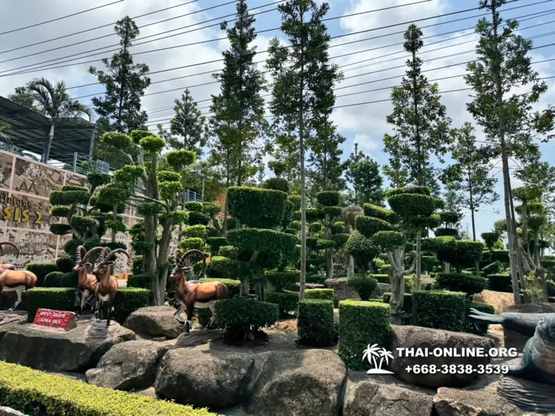 Nong Nooch Garden excursion in Thailand Pattaya - photo 2725