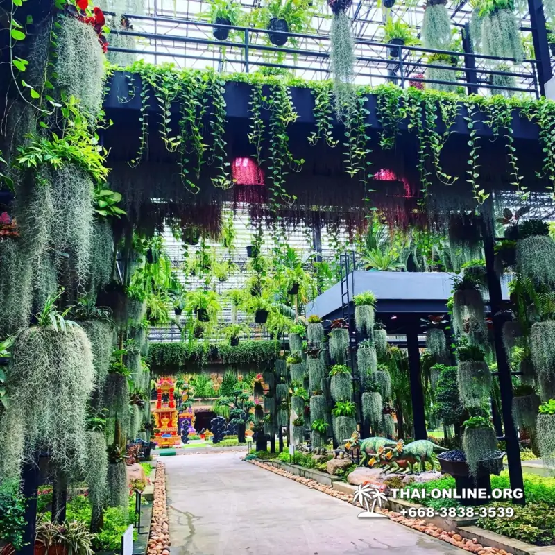Nong Nooch Tropical Garden in Pattaya Thailand photo 24