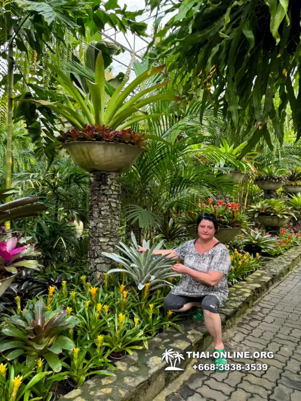 Nong Nooch Garden excursion in Thailand Pattaya - photo 2766