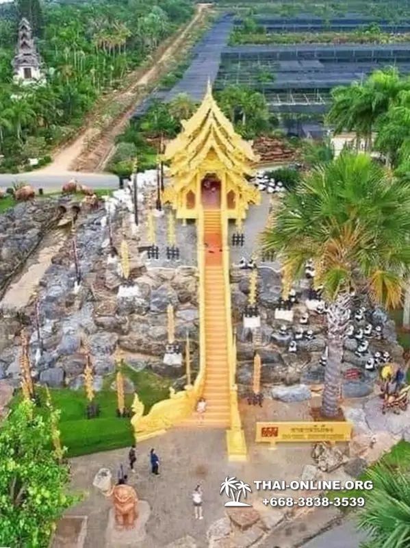 Nong Nooch Garden excursion in Thailand Pattaya - photo 2737