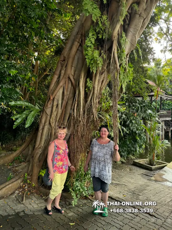 Nong Nooch Garden excursion in Thailand Pattaya - photo 2774