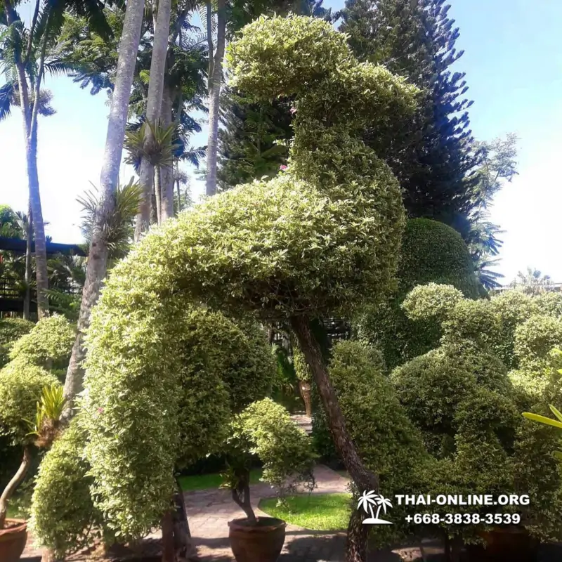 Nong Nooch Tropical Garden in Pattaya Thailand photo 8