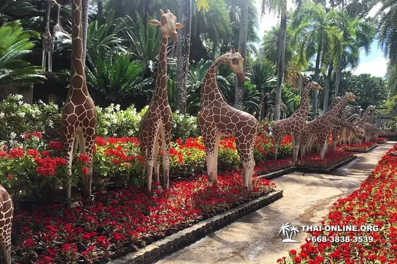 Nong Nooch Tropical Garden in Pattaya Thailand photo 30