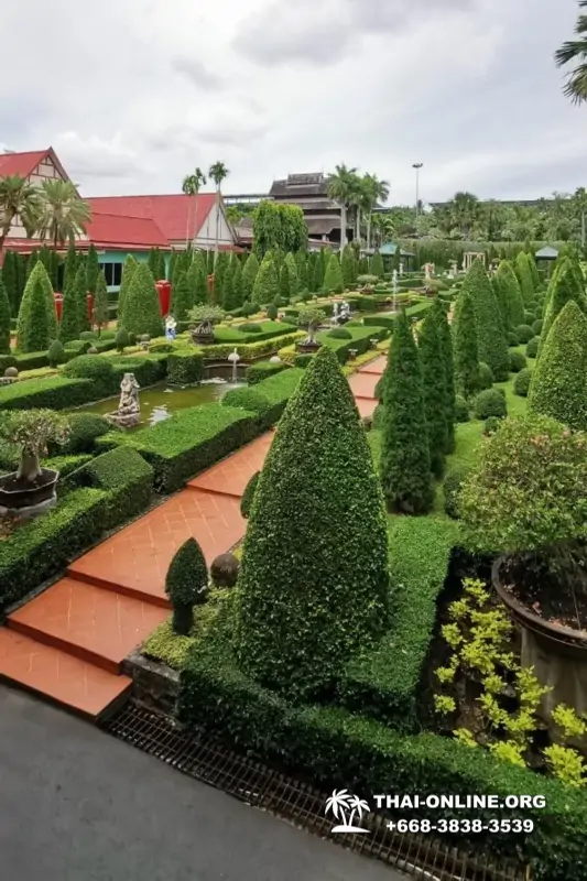 Nong Nooch Garden excursion 7 Countries in Thailand Pattaya photo 1116
