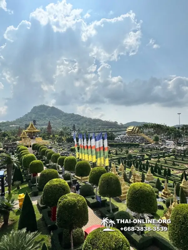 Nong Nooch Garden excursion in Thailand Pattaya - photo 2743