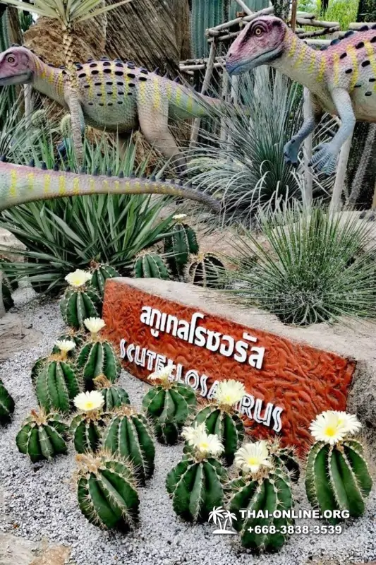 Nong Nooch Tropical Garden in Pattaya Thailand photo 27