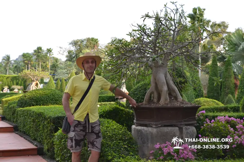Nong Nooch Garden excursion 7 Countries in Thailand Pattaya photo 1114