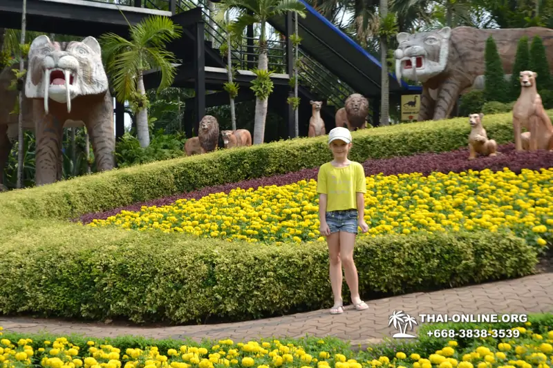 Nong Nooch Garden excursion in Thailand Pattaya - photo 109