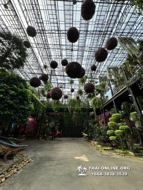 Nong Nooch Garden excursion in Thailand Pattaya - photo 2726