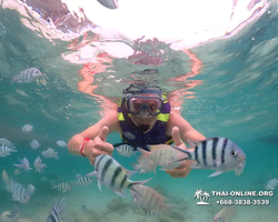 Underwater Odyssey snorkeling excursion in Pattaya Thailand photo 87