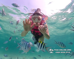 Underwater Odyssey snorkeling tour from Pattaya Thailand photo 18306