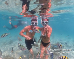 Underwater Odyssey snorkeling tour from Pattaya Thailand photo 14343