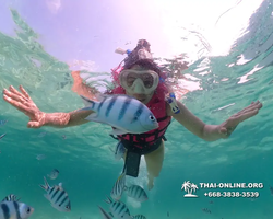 Underwater Odyssey snorkeling tour from Pattaya Thailand photo 18426