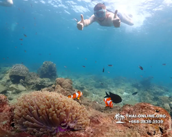 Underwater Odyssey snorkeling excursion Pattaya Thailand photo 11345