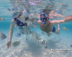 Underwater Odyssey snorkeling excursion in Pattaya Thailand photo 884