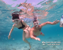 Underwater Odyssey snorkeling excursion Pattaya Thailand photo 11039