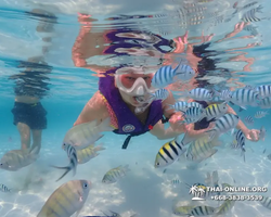 Underwater Odyssey snorkeling excursion in Pattaya Thailand photo 788