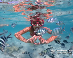 Underwater Odyssey snorkeling excursion in Pattaya Thailand photo 377