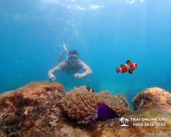 Underwater Odyssey snorkeling excursion in Pattaya Thailand photo 637