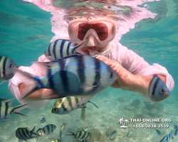 Underwater Odyssey snorkeling tour from Pattaya Thailand photo 14364